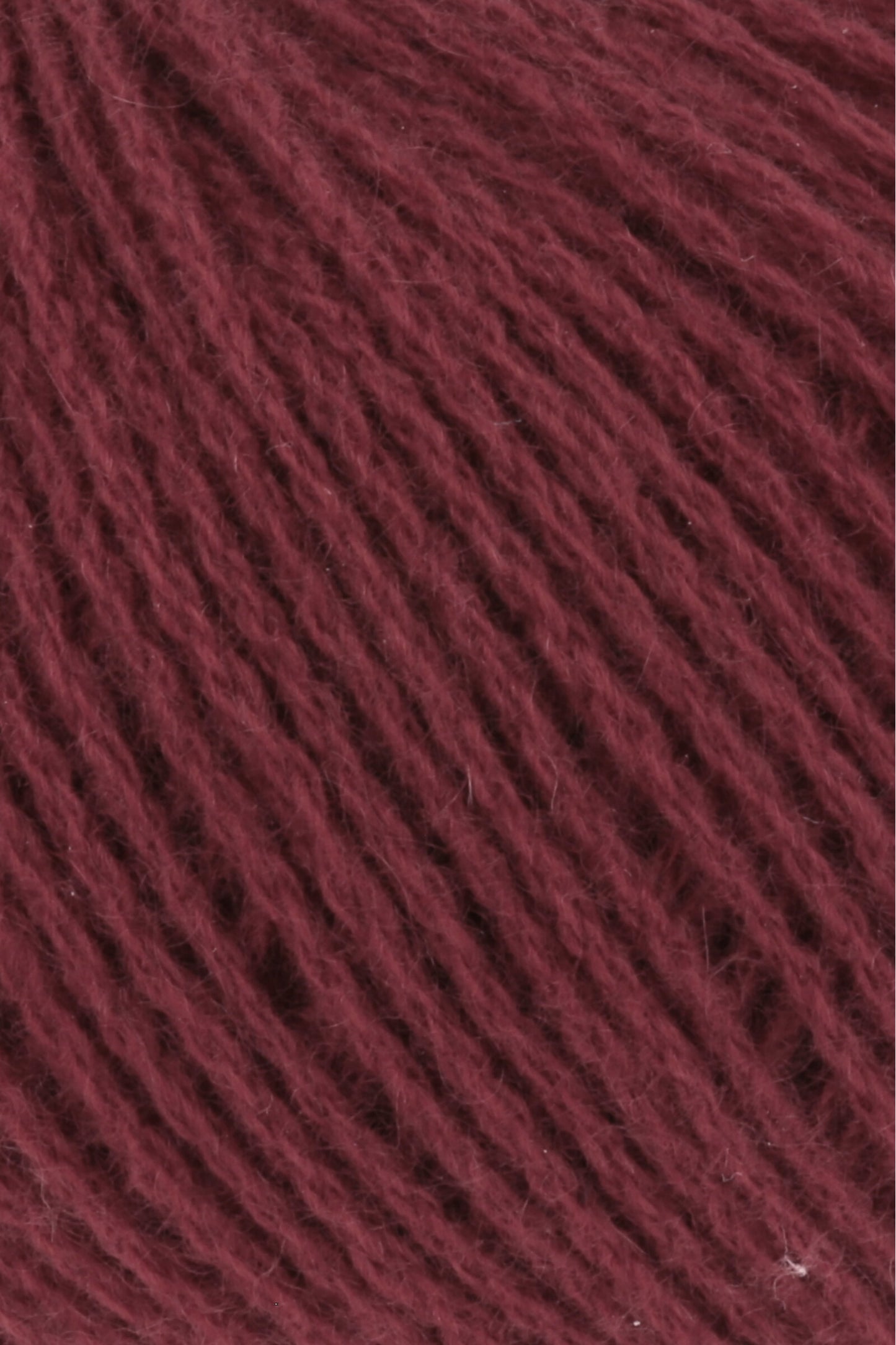 Cashmere Premium