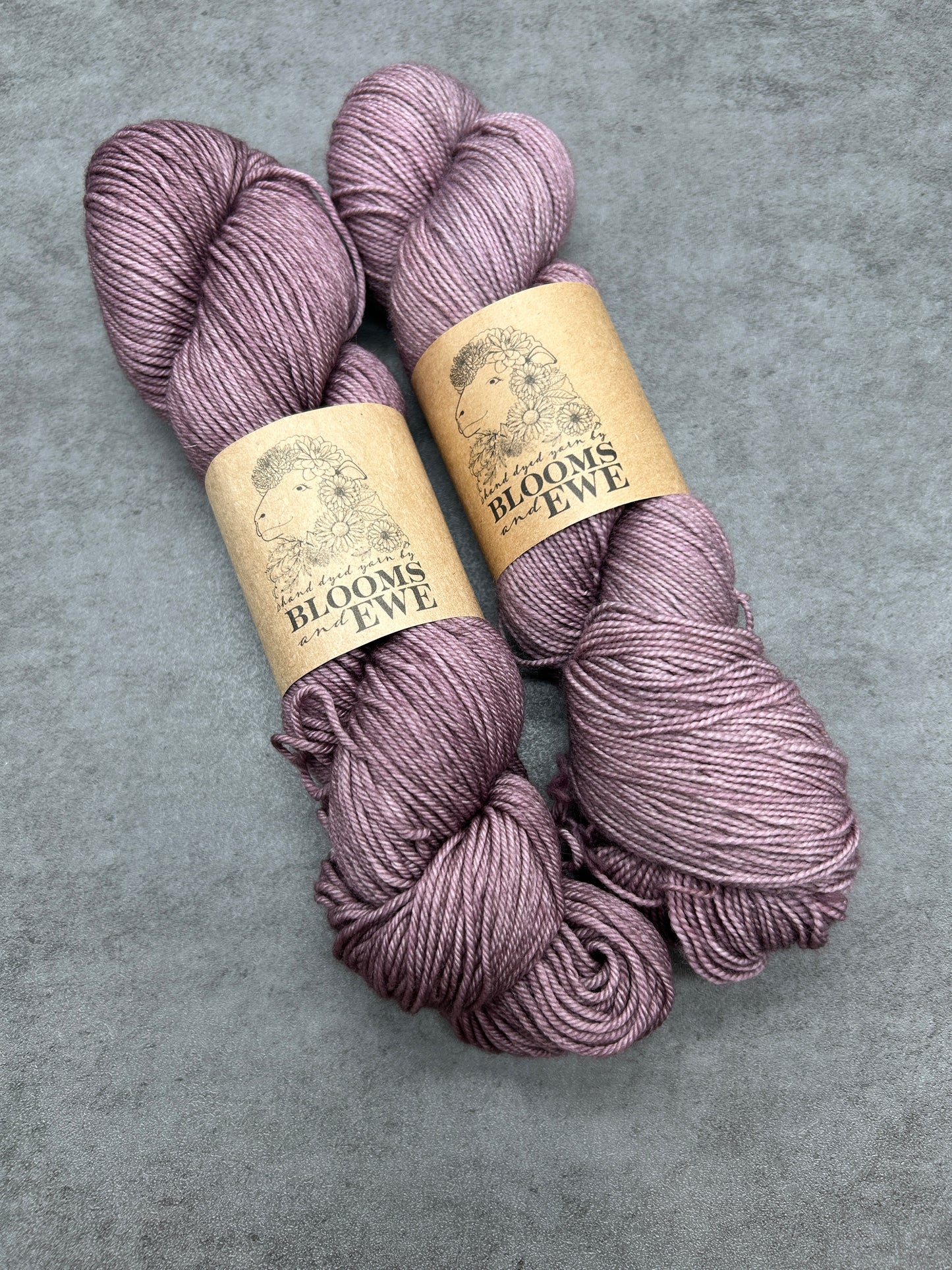 Motor City Yarn Club - February  Additional Skeins (2026)