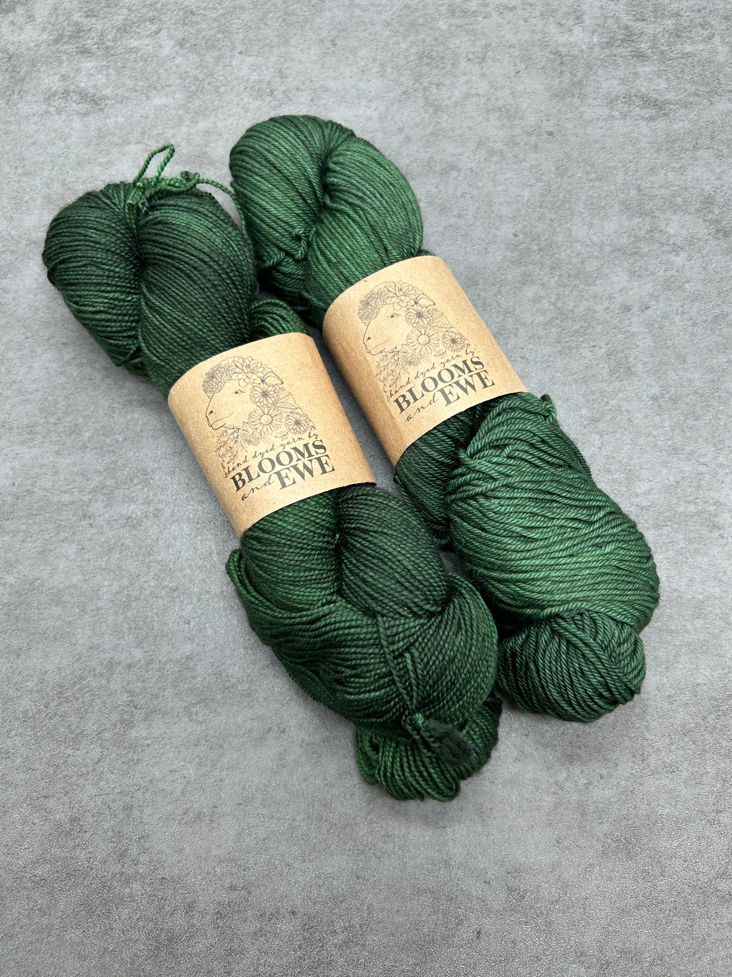 Motor City Yarn Club - February  Additional Skeins (2026)
