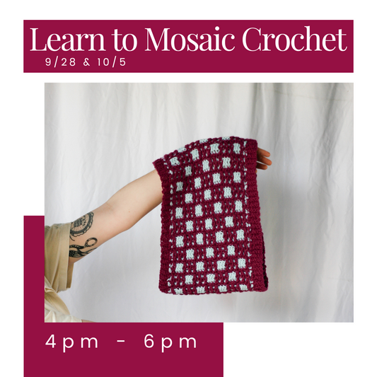 Learn to Mosaic Crochet