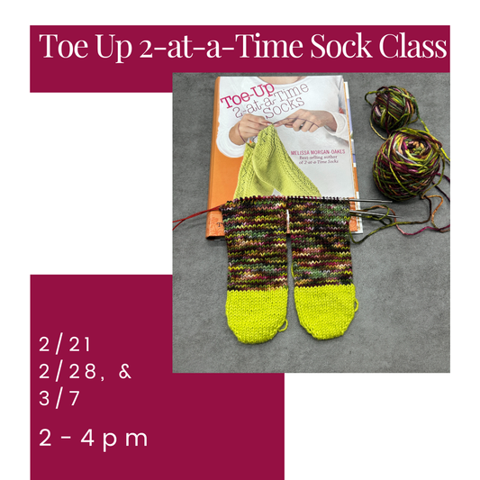 Toe Up 2-at-a Time Sock Class February & March